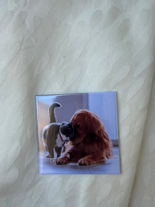 Square Custom Photo Magnets (6.35 x 6.35 cm)
